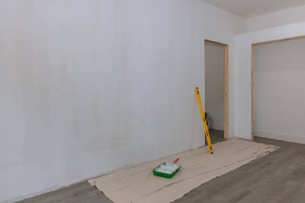 Best Fire-Damaged Drywall Repair  in Lexington, IL